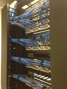 Powerline wire management services